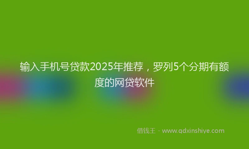 输入手机号贷款2025年推荐，罗列5个分期有额度的网贷软件