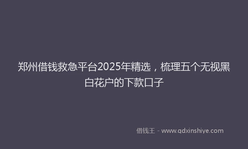郑州借钱救急平台2025年精选，梳理五个无视黑白花户的下款口子