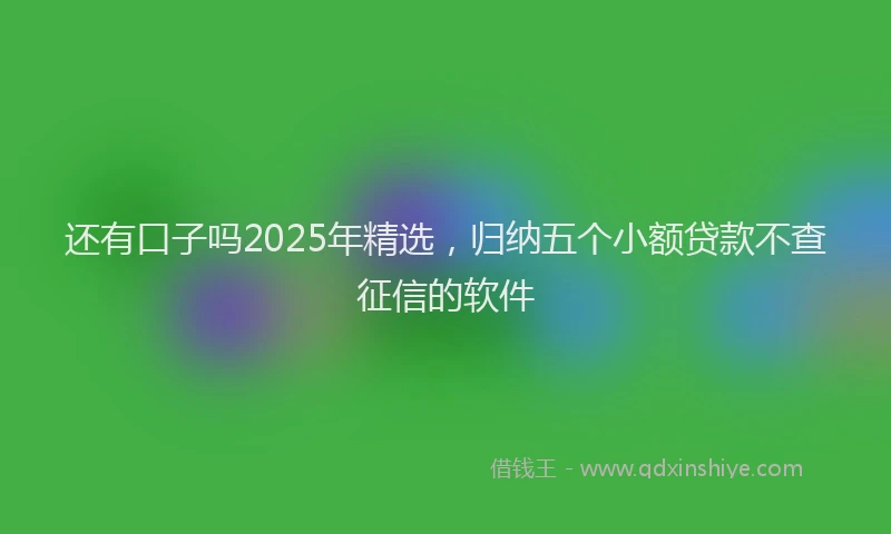 还有口子吗2025年精选，归纳五个小额贷款不查征信的软件
