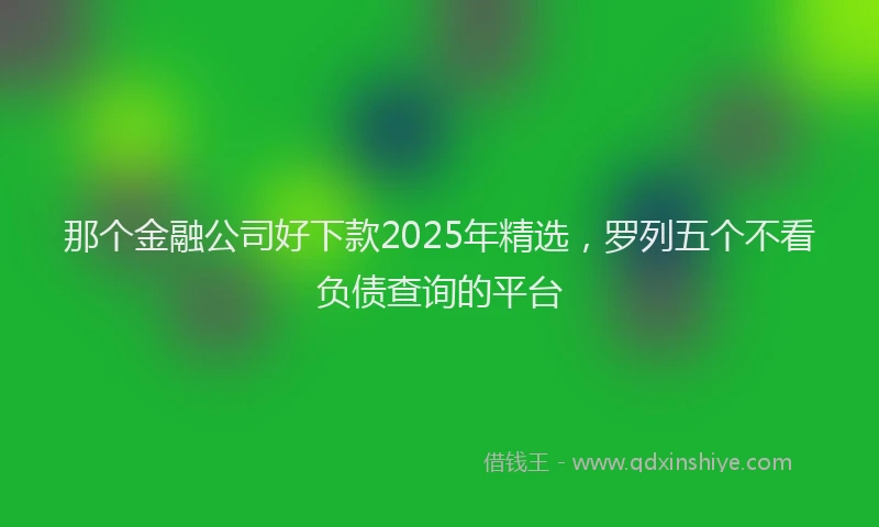 那个金融公司好下款2025年精选，罗列五个不看负债查询的平台