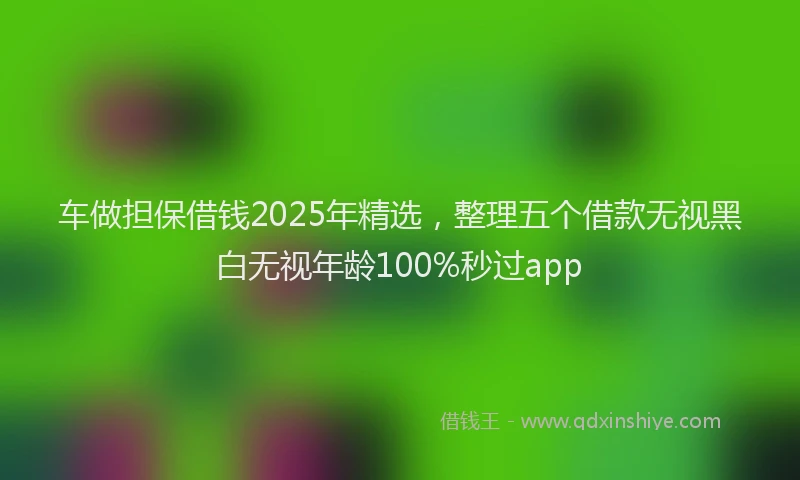 车做担保借钱2025年精选，整理五个借款无视黑白无视年龄100%秒过app