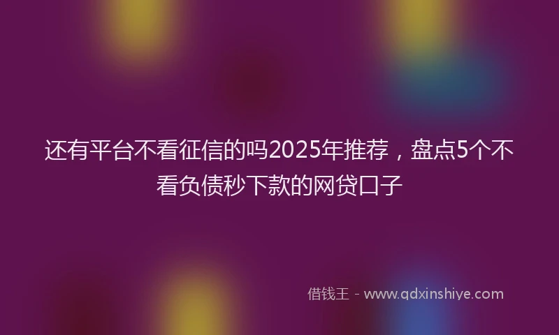 还有平台不看征信的吗2025年推荐，盘点5个不看负债秒下款的网贷口子