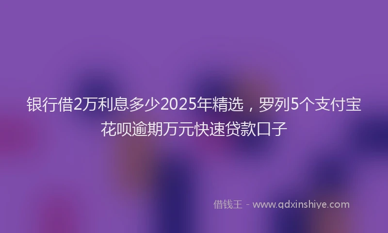 银行借2万利息多少2025年精选，罗列5个支付宝花呗逾期万元快速贷款口子