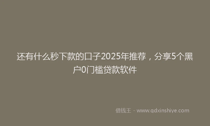还有什么秒下款的口子2025年推荐，分享5个黑户0门槛贷款软件