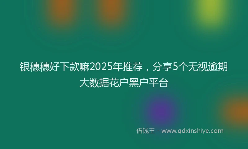 银穗穗好下款嘛2025年推荐，分享5个无视逾期大数据花户黑户平台