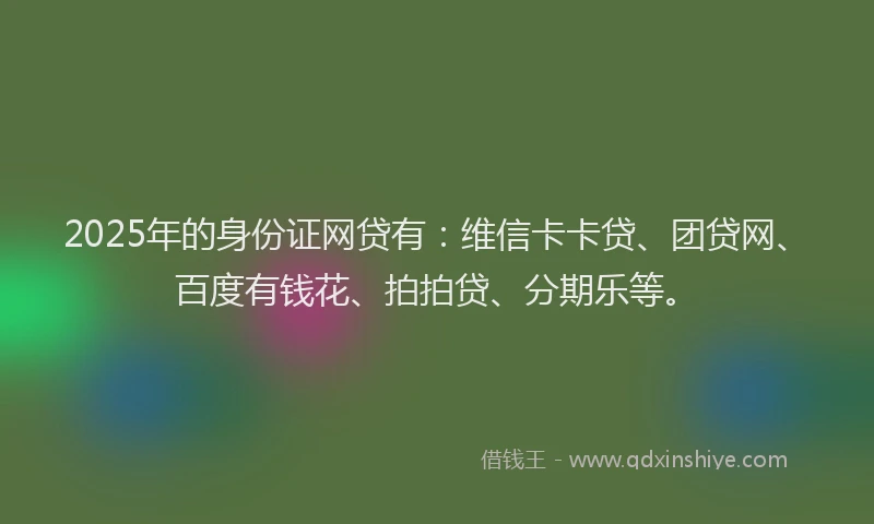 2025年的身份证网贷有：维信卡卡贷、团贷网、百度有钱花、拍拍贷、分期乐等。