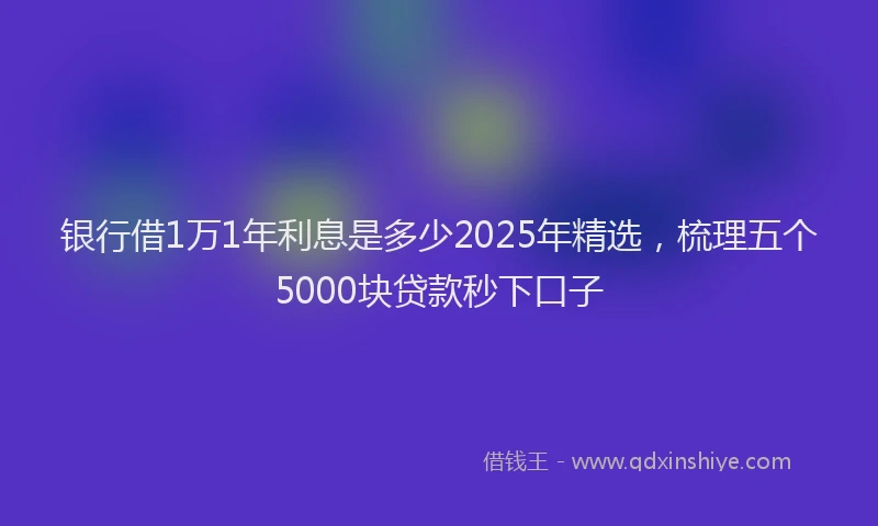银行借1万1年利息是多少2025年精选，梳理五个5000块贷款秒下口子