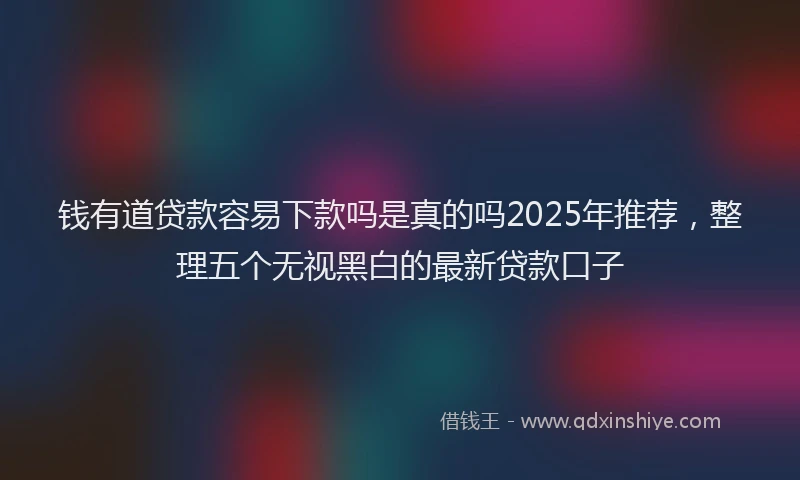 钱有道贷款容易下款吗是真的吗2025年推荐，整理五个无视黑白的最新贷款口子