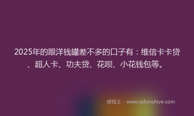 2025年的跟洋钱罐差不多的口子有：维信卡卡贷、超人卡、功夫贷、花呗、小花钱包等。