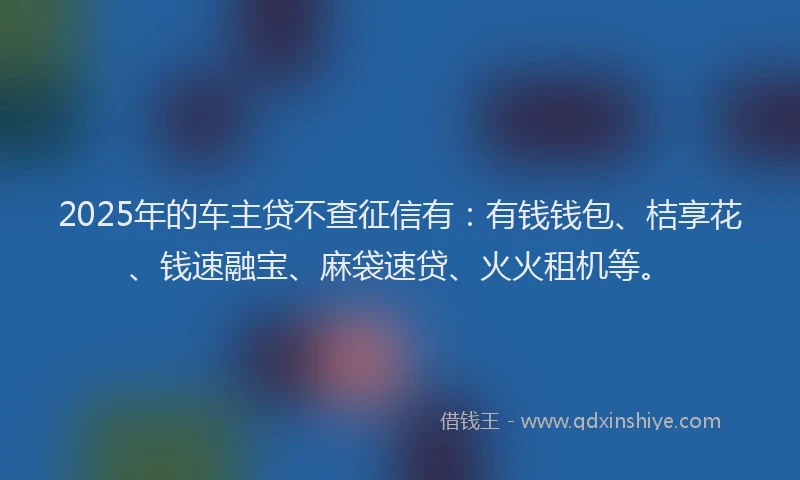 2025年的车主贷不查征信有：有钱钱包、桔享花、钱速融宝、麻袋速贷、火火租机等。