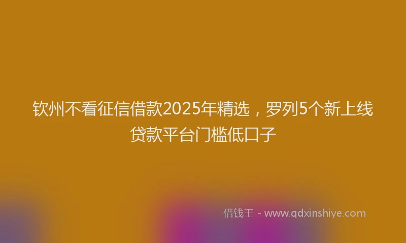 钦州不看征信借款2025年精选，罗列5个新上线贷款平台门槛低口子