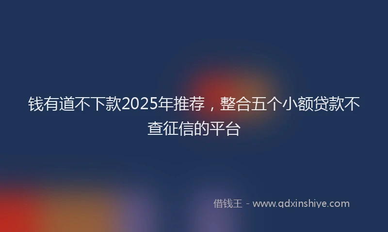 钱有道不下款2025年推荐，整合五个小额贷款不查征信的平台