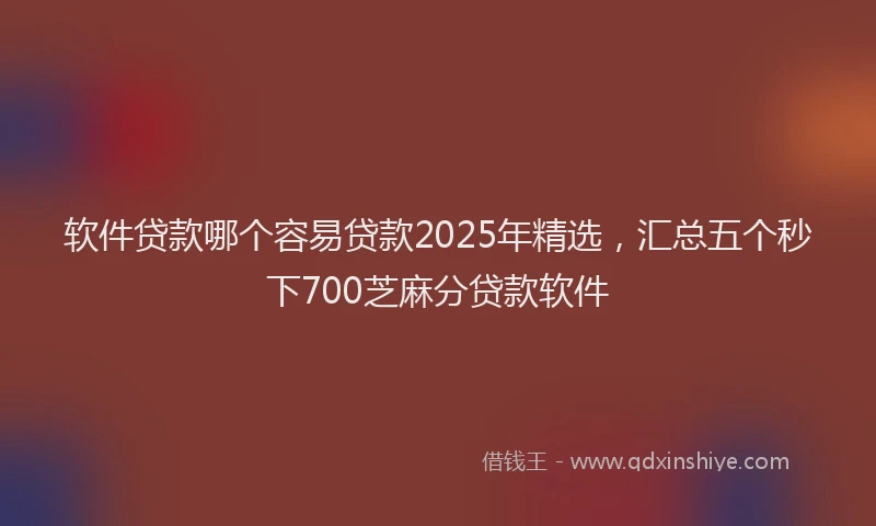 软件贷款哪个容易贷款2025年精选，汇总五个秒下700芝麻分贷款软件
