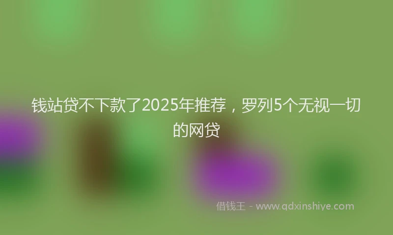 钱站贷不下款了2025年推荐，罗列5个无视一切的网贷