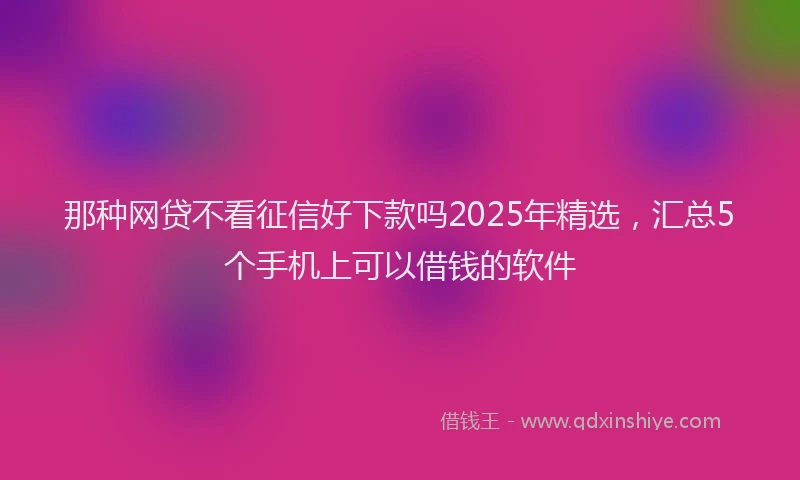 那种网贷不看征信好下款吗2025年精选，汇总5个手机上可以借钱的软件
