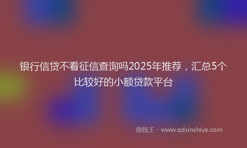 银行信贷不看征信查询吗2025年推荐，汇总5个比较好的小额贷款平台