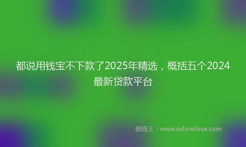 都说用钱宝不下款了2025年精选，概括五个2024最新贷款平台