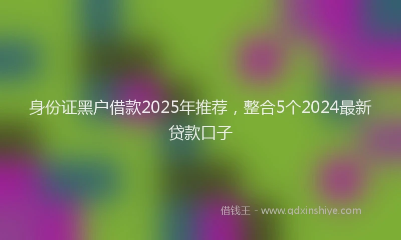 身份证黑户借款2025年推荐，整合5个2024最新贷款口子