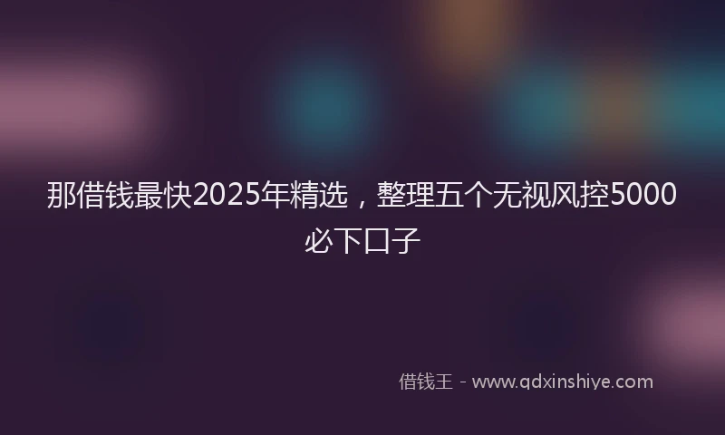 那借钱最快2025年精选，整理五个无视风控5000必下口子