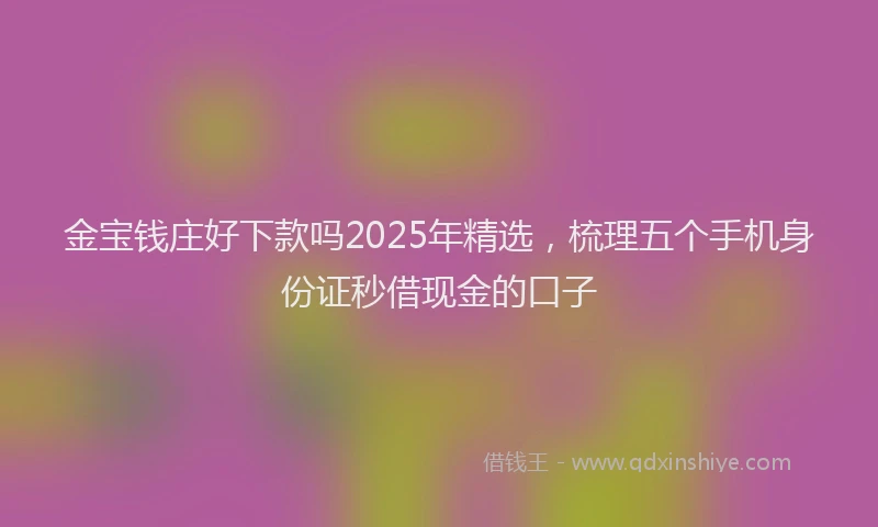 金宝钱庄好下款吗2025年精选，梳理五个手机身份证秒借现金的口子