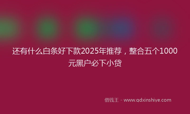 还有什么白条好下款2025年推荐，整合五个1000元黑户必下小贷
