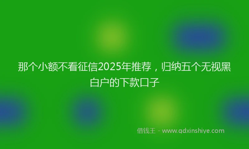 那个小额不看征信2025年推荐，归纳五个无视黑白户的下款口子