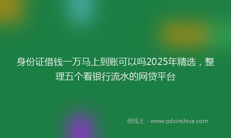 身份证借钱一万马上到账可以吗2025年精选，整理五个看银行流水的网贷平台