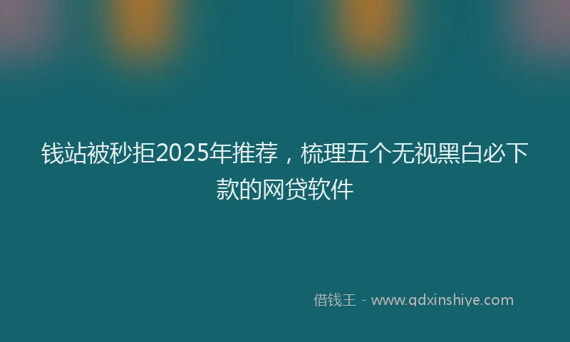 钱站被秒拒2025年推荐，梳理五个无视黑白必下款的网贷软件