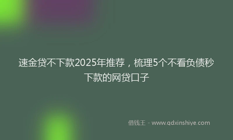 速金贷不下款2025年推荐，梳理5个不看负债秒下款的网贷口子