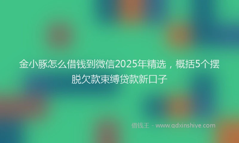 金小豚怎么借钱到微信2025年精选，概括5个摆脱欠款束缚贷款新口子