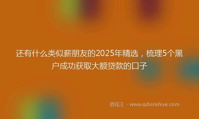还有什么类似薪朋友的2025年精选，梳理5个黑户成功获取大额贷款的口子