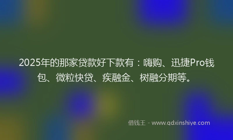 2025年的那家贷款好下款有：嗨购、迅捷Pro钱包、微粒快贷、疾融金、树融分期等。
