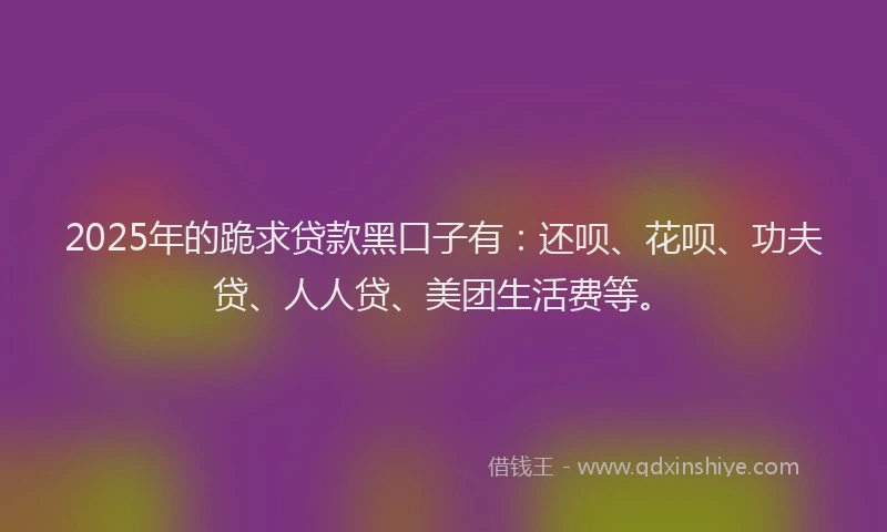 2025年的跪求贷款黑口子有：还呗、花呗、功夫贷、人人贷、美团生活费等。