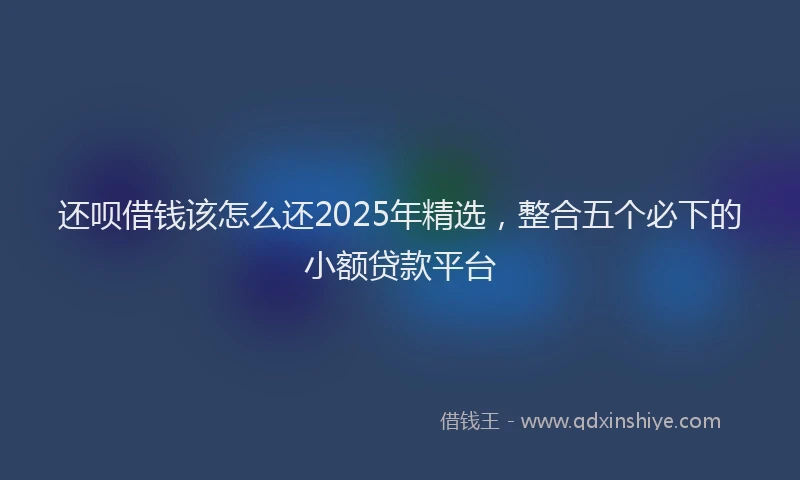 还呗借钱该怎么还2025年精选，整合五个必下的小额贷款平台
