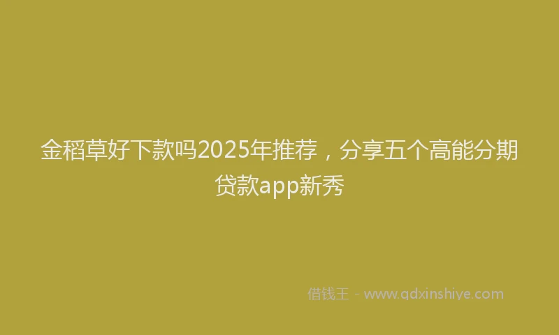 金稻草好下款吗2025年推荐，分享五个高能分期贷款app新秀