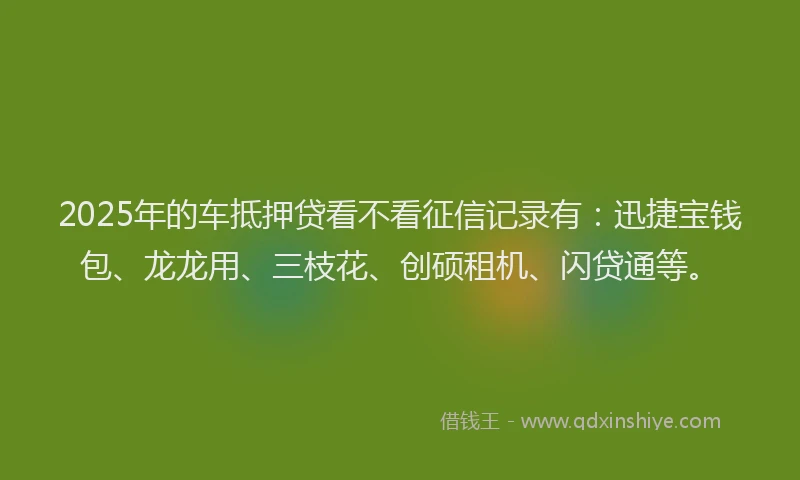2025年的车抵押贷看不看征信记录有:迅捷宝钱包、龙龙用、三枝花、创硕租机、闪贷通等。