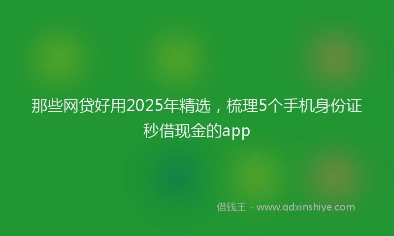那些网贷好用2025年精选，梳理5个手机身份证秒借现金的app