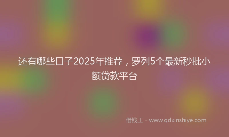 还有哪些口子2025年推荐，罗列5个最新秒批小额贷款平台