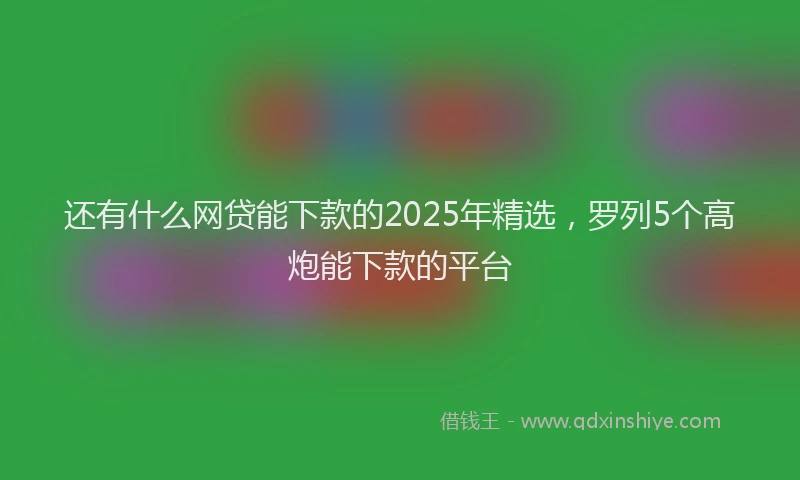 还有什么网贷能下款的2025年精选，罗列5个高炮能下款的平台