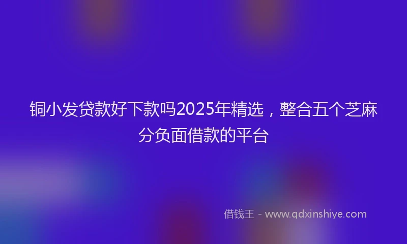 铜小发贷款好下款吗2025年精选，整合五个芝麻分负面借款的平台