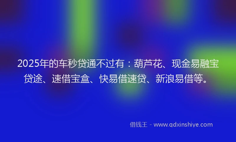 2025年的车秒贷通不过有：葫芦花、现金易融宝贷途、速借宝盒、快易借速贷、新浪易借等。