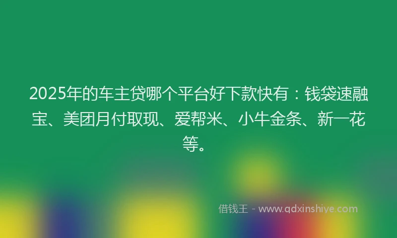 2025年的车主贷哪个平台好下款快有：钱袋速融宝、美团月付取现、爱帮米、小牛金条、新一花等。
