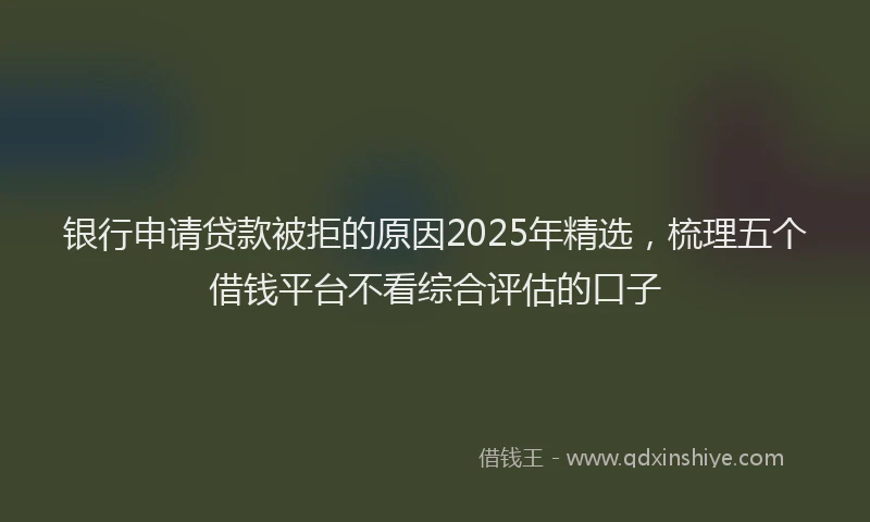 银行申请贷款被拒的原因2025年精选，梳理五个借钱平台不看综合评估的口子