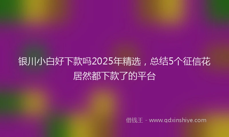 银川小白好下款吗2025年精选，总结5个征信花居然都下款了的平台