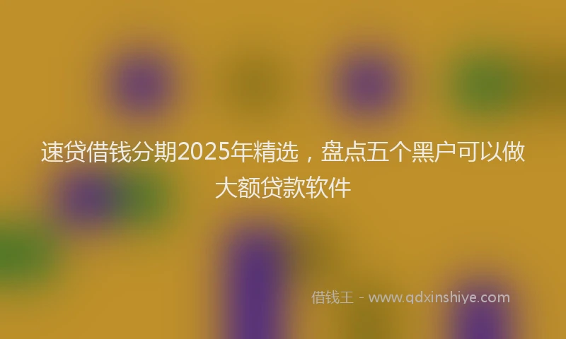 速贷借钱分期2025年精选，盘点五个黑户可以做大额贷款软件