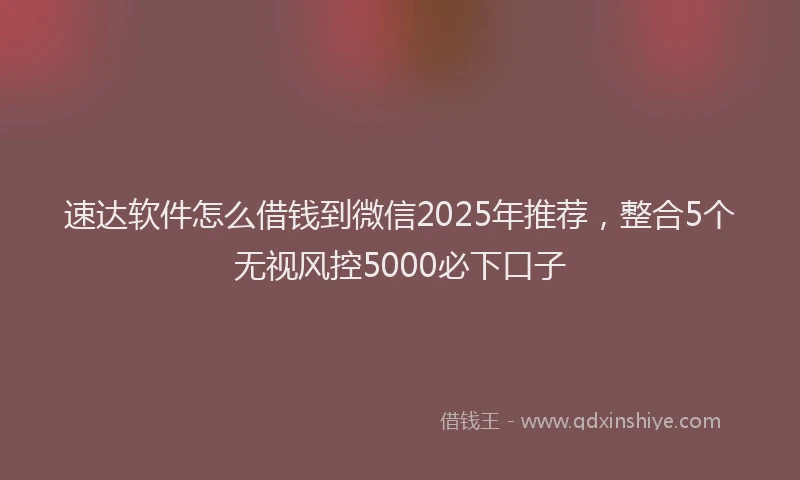 速达软件怎么借钱到微信2025年推荐，整合5个无视风控5000必下口子