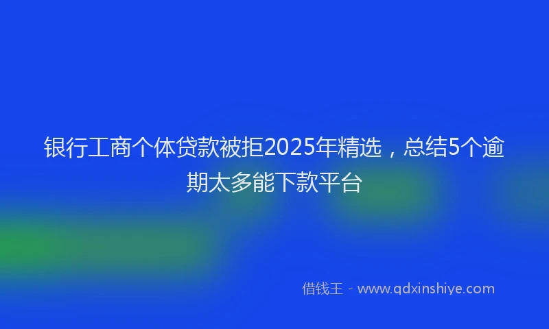 银行工商个体贷款被拒2025年精选，总结5个逾期太多能下款平台