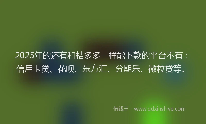 2025年的还有和桔多多一样能下款的平台不有：信用卡贷、花呗、东方汇、分期乐、微粒贷等。