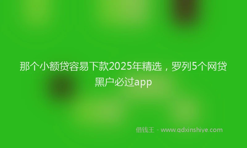 那个小额贷容易下款2025年精选，罗列5个网贷黑户必过app