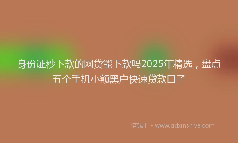 身份证秒下款的网贷能下款吗2025年精选，盘点五个手机小额黑户快速贷款口子